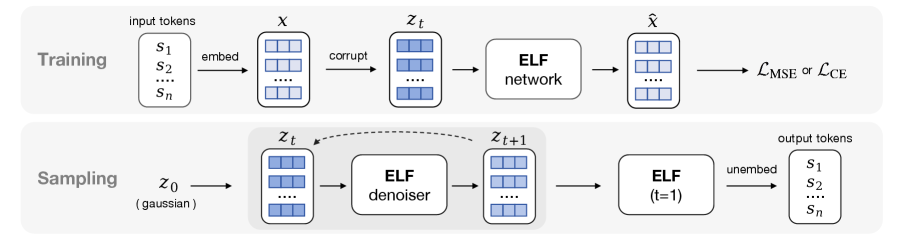 ELF 训练 pipeline：干净 embedding 加噪后模型预测原始 embedding，decoder 映射为 token 概率